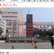 武漢遠成科技集團股份有限公司